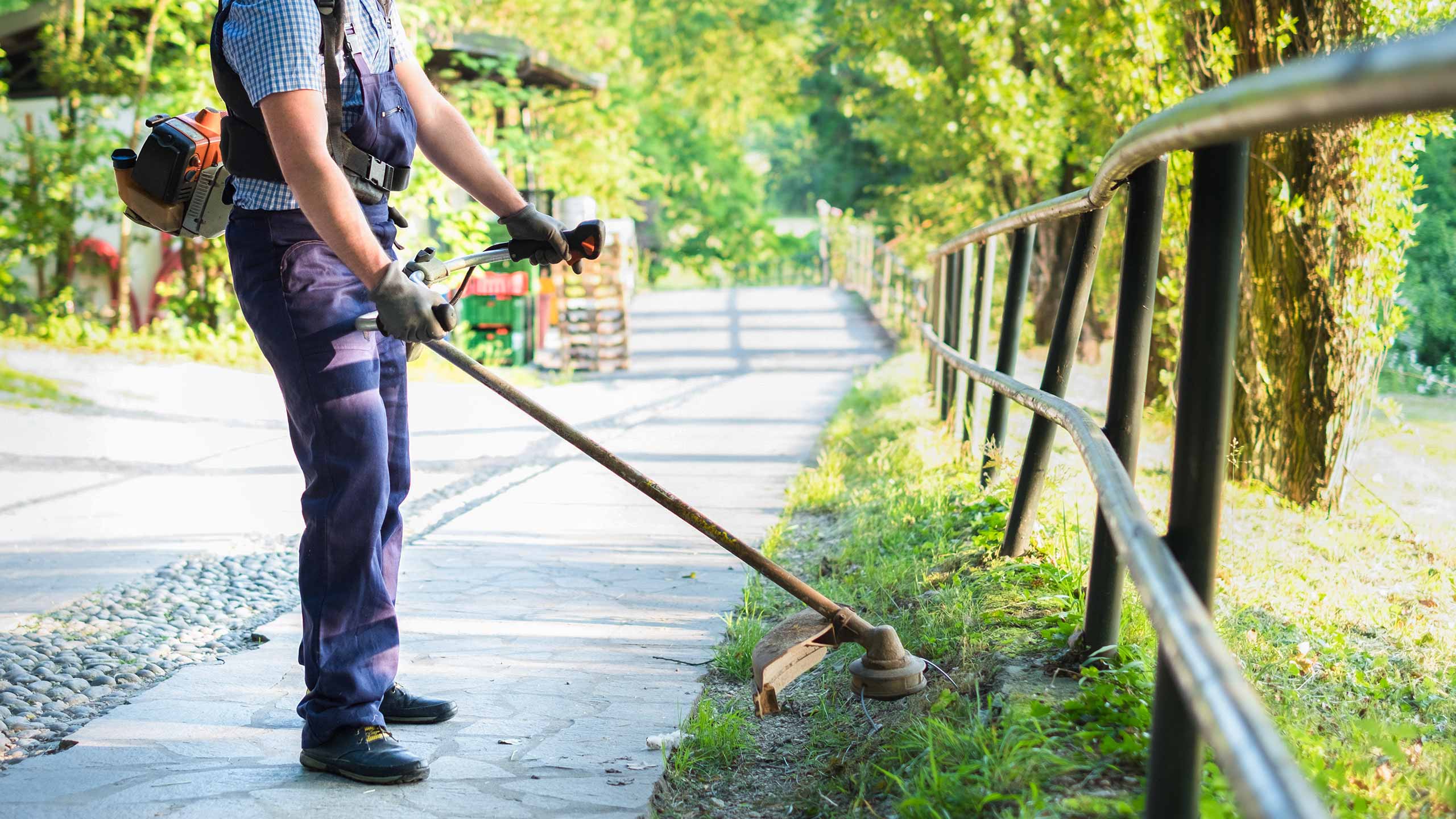 man-whipper-snipping